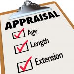 domain appraisal