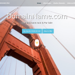 Domain landing page